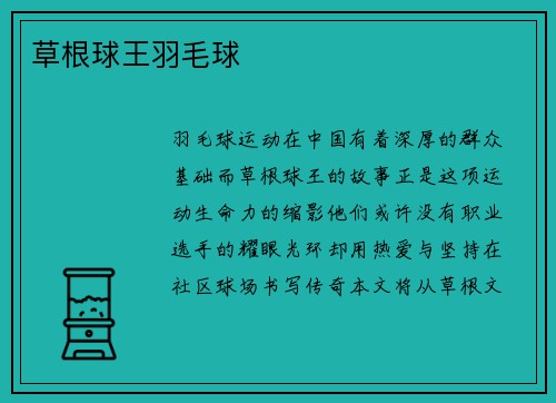 草根球王羽毛球