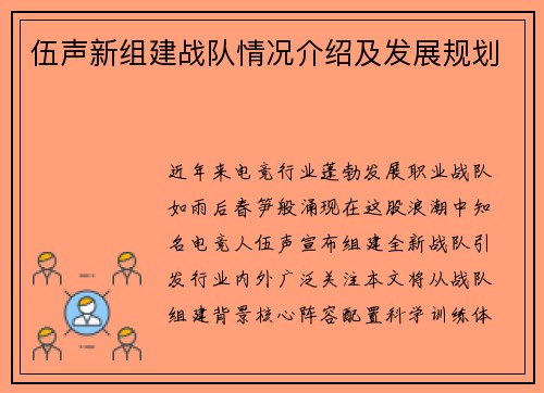 伍声新组建战队情况介绍及发展规划