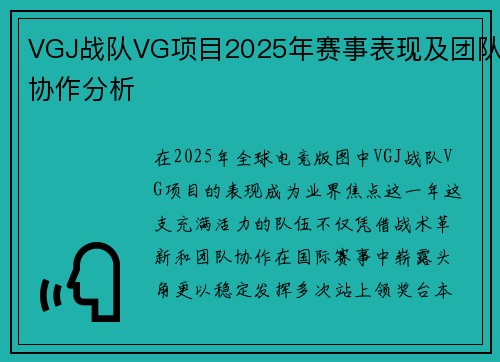 VGJ战队VG项目2025年赛事表现及团队协作分析