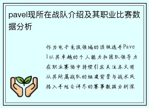 pavel现所在战队介绍及其职业比赛数据分析